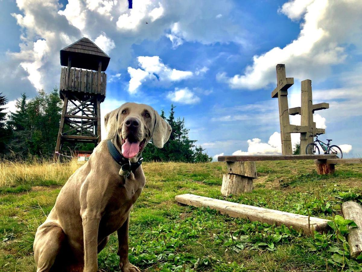 Horsky Hotel Podjavornik Papradno Dış mekan fotoğraf